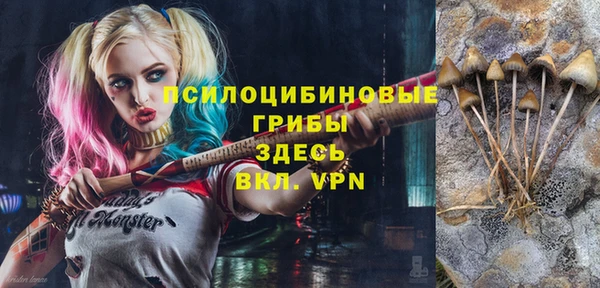 круглые Осинники