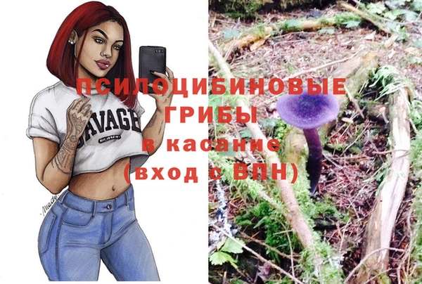 apvp Пестово
