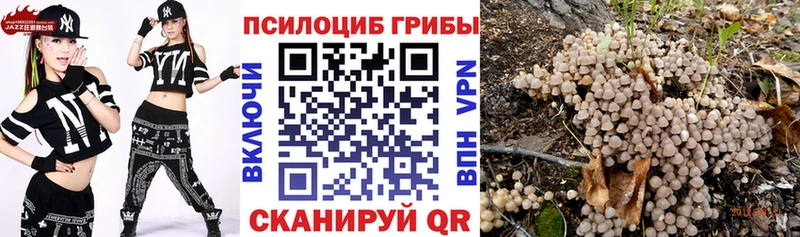 Галлюциногенные грибы Psilocybine cubensis  мориарти формула  Россошь 