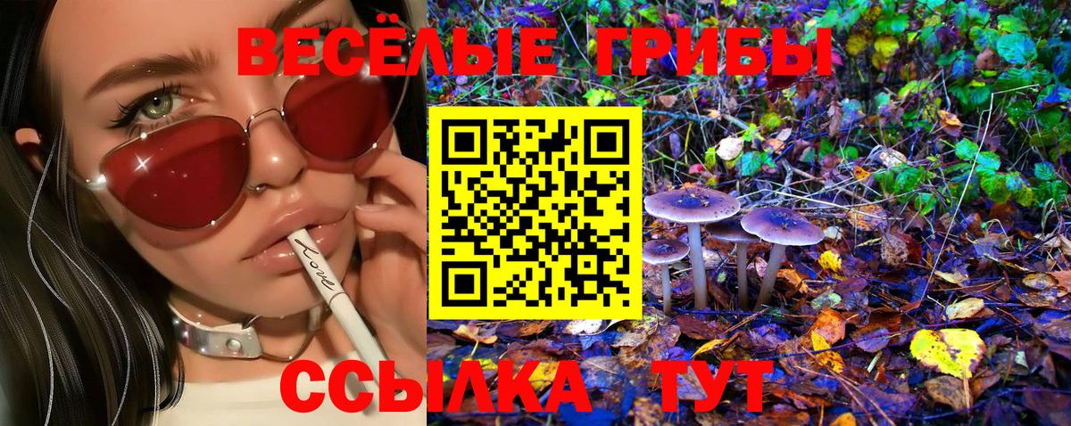 Псилоцибиновые грибы ЛСД  Россошь  Галлюциногенные грибы мухоморы 