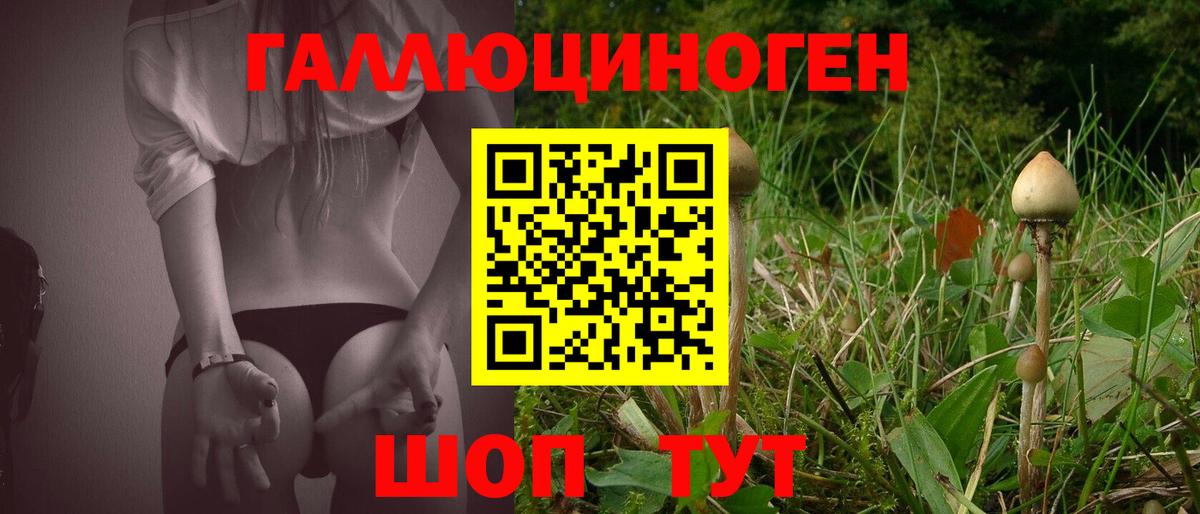 Галлюциногенные грибы Psilocybine cubensis  Вход с VPN  Россошь 